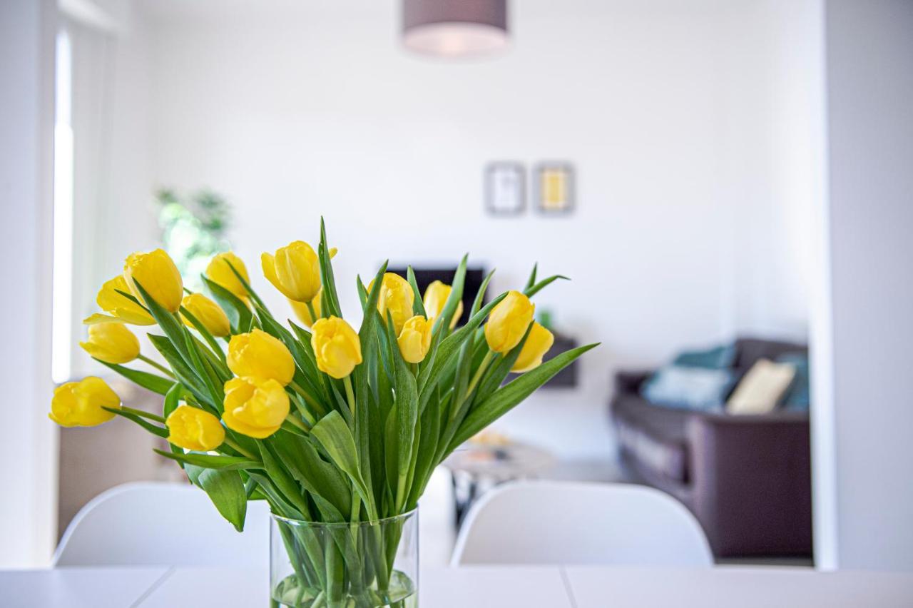 San Frediano Jewel Apartman Firenze Kültér fotó